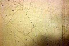 1842-Martham-Tithe-Map-013