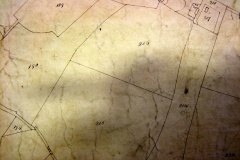 1842-Martham-Tithe-Map-043