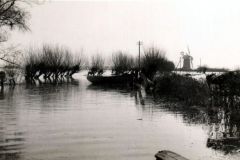 Horsey floods 1953