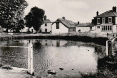Chapman's  pond opposite Francis shop