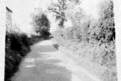 Damgate-looking-north-from-Moregrove
