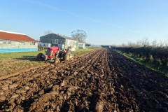 Bev Turner's trusty Ferguson tractor at Mustard Hyrn, Cess.