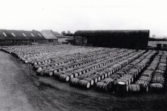 Bracey's fruit yard at Hemsby Road