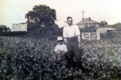 Market garden, Rollesby Road (where the Fire Station is now).