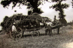Haymaking at Martham Hall 1937