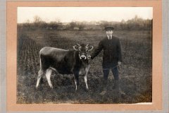 Robert Futter (1896-1910) with his cow at what is now the Rowan's estate.