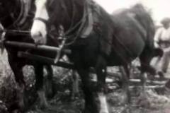 Robert Goose at Thunder Hill Farm