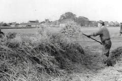 Sam Warnes at Church Farm 1978