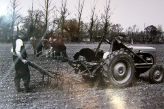 Sugar beet sowing 1950.