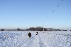 Ferrygate 2009