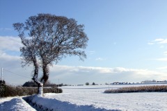 Ferrygate 2009