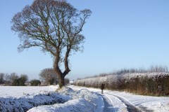 Ferrygate 2009