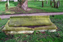 DSCF6548
