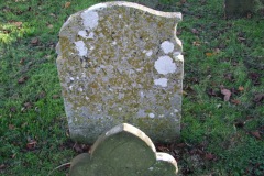 DSCF8259