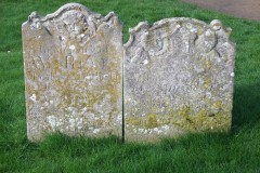 DSCF6561