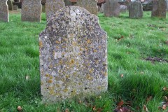 DSCF6631