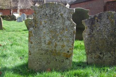 DSCF6636