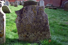 DSCF6637