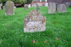 DSCF8190