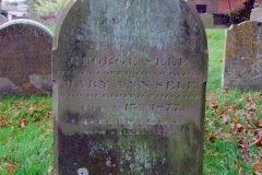 DSCF8192