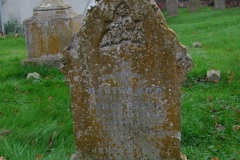 DSCF8195