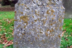 DSCF8211