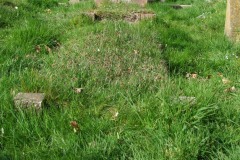 DSCF6714