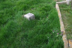 DSCF6761