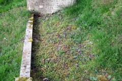 DSCF6769