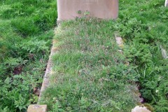 DSCF6846