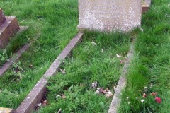 DSCF6955