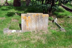 DSCF7354