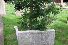DSCF7357
