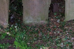 DSCF7393