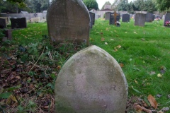 DSCF8115