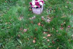 DSCF9091