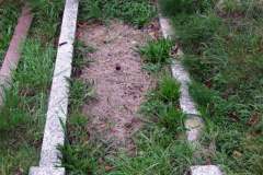 DSCF9097