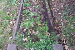DSCF9103