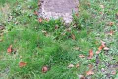 DSCF9108