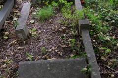 DSCF9131
