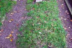 DSCF9140