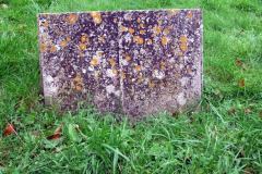 DSCF9181