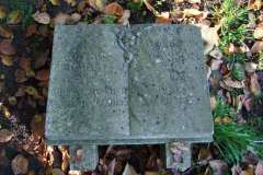 DSCF9271