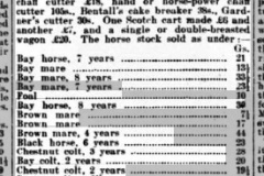 Martham-House-farm-sale-1908.bmp