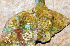 13th/14th century medieval harness pendant