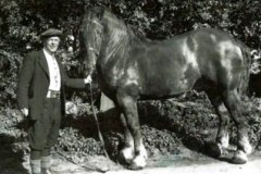 Neil Sims with horse