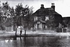 Back-Lane-pond-Yew-Tree-Cottage