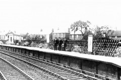Platform
