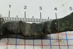 Saxon small long brooch. Found in  Nov 2023.