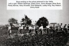 First-School-allotments